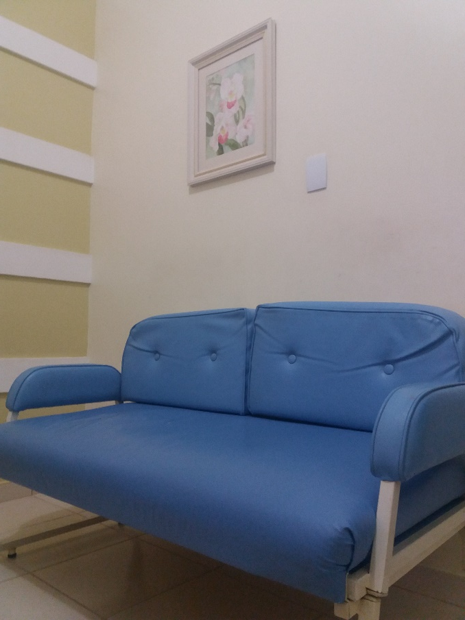 Sofá-cama para familiares e acompanhantes